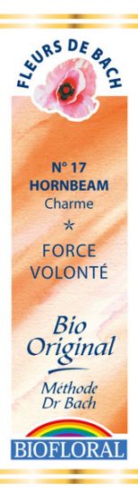 FDB N°17 - Hornbeam, Charme Bio