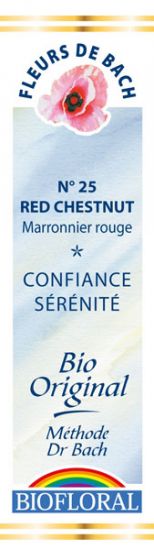 FDB N°25 - Red Chestnut, Marronnier rouge Bio