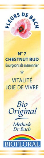FDB N°7 - Chestnut Bud, Bourgeons de Marronnier Bio