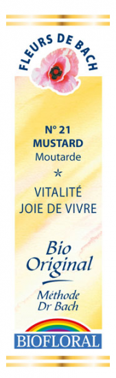 FDB N°21 - Mustard, Moutarde Bio