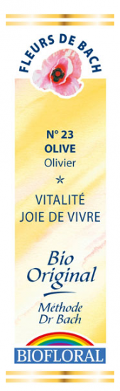 FDB N°23 - Olive, Olivier Bio