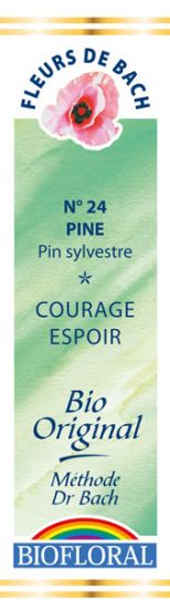 FDB N°24 - Pine, Pin sylvestre Bio