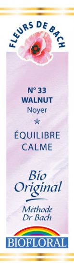 FDB N°33 - Walnut, Noyer Bio